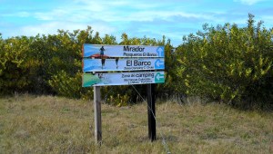 Parque Santa Tereza - El barco