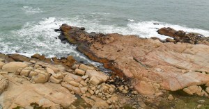 Cabo Polônio - lobos marinhos