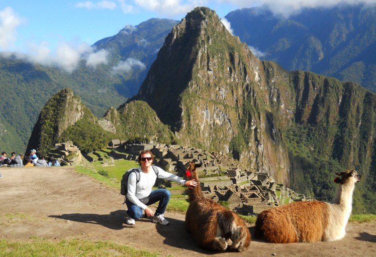 Llamas em Machu Pichu