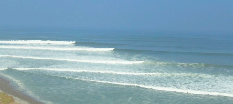 Esquerdas de Pepinos