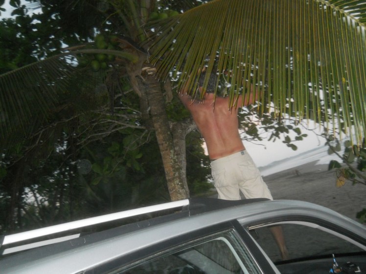 Pegando os côcos direto da fonte - Playa Esterillos Oeste
