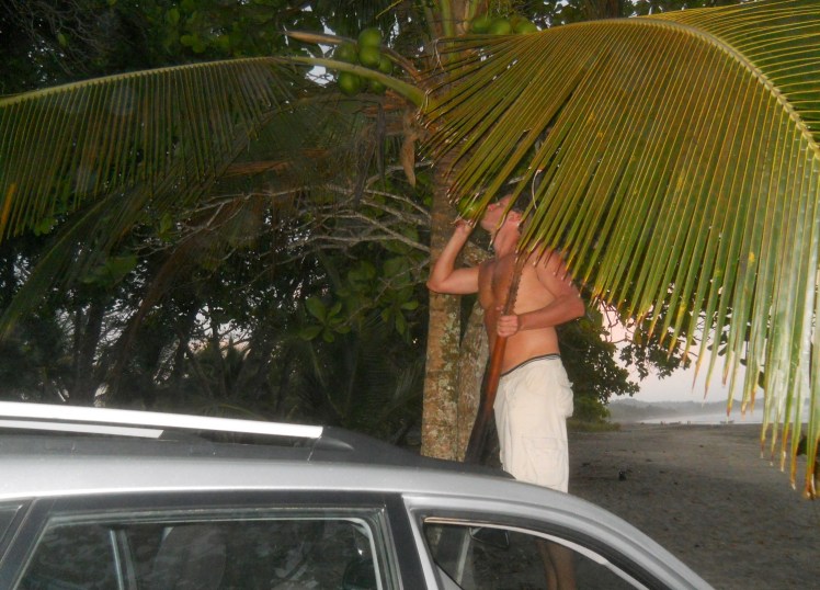 Pegando os côcos direto da fonte - Playa Esterillos Oeste