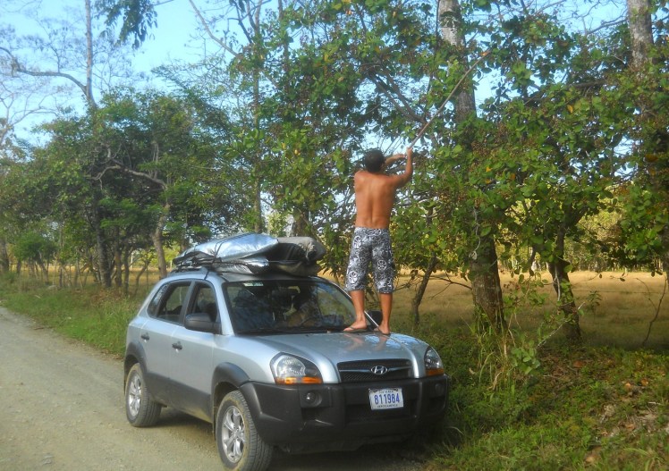 Bisotto colhendo Cajus na volta de Pavones