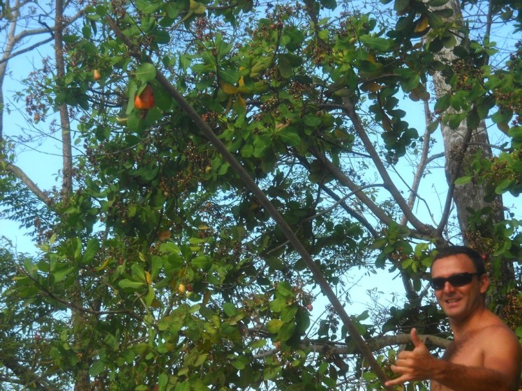 Bisotto colhendo Cajus na volta de Pavones