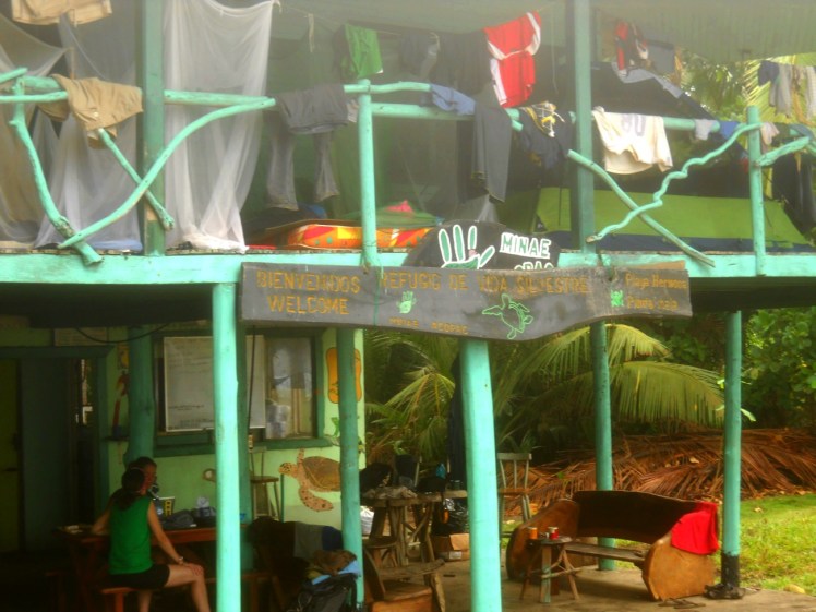 Tortugueiro em Tulin