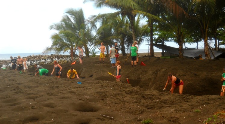 Tortugueiro em Tulin