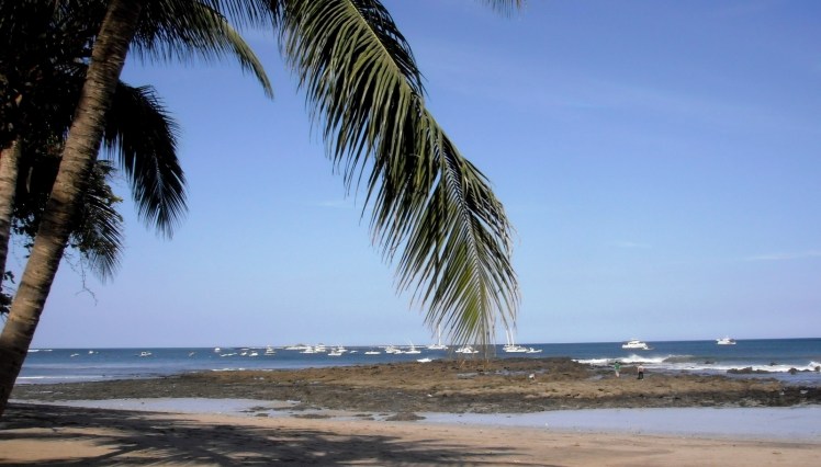 Tamarindo