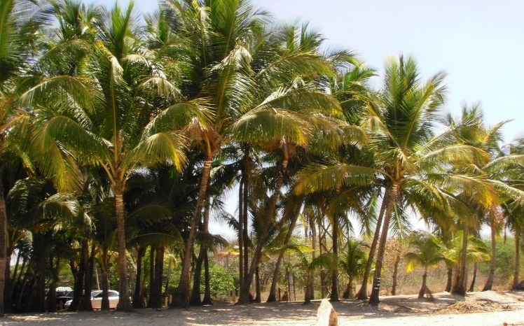 Playa Grande