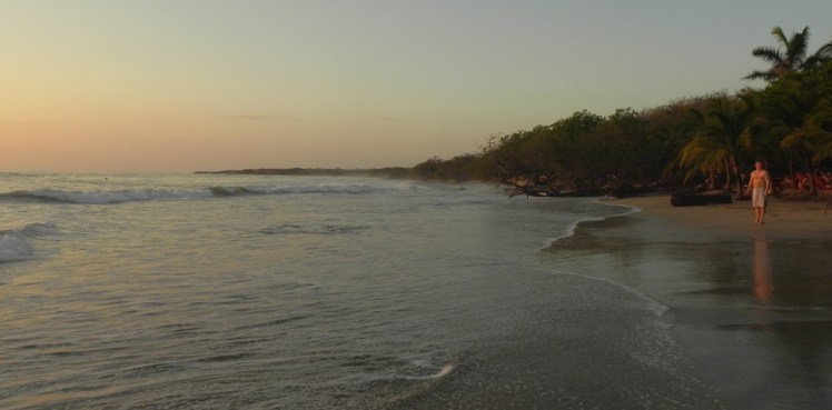 Playa Avellanas