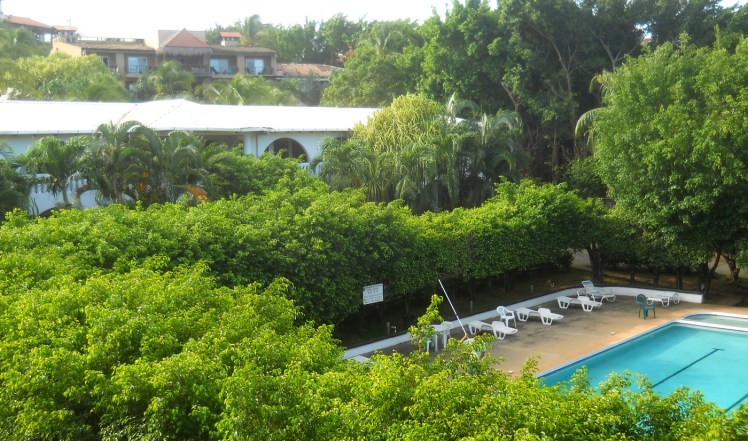 Hotel Tropicana - Tamarindo