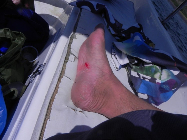 Tatoo de Ollies Point