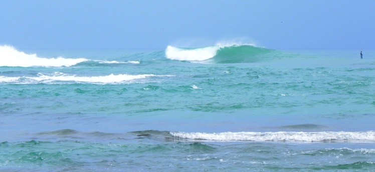 Salsa Brava - Puerto Viejo