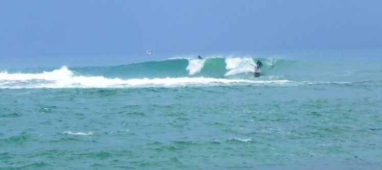 Salsa Brava - Puerto Viejo