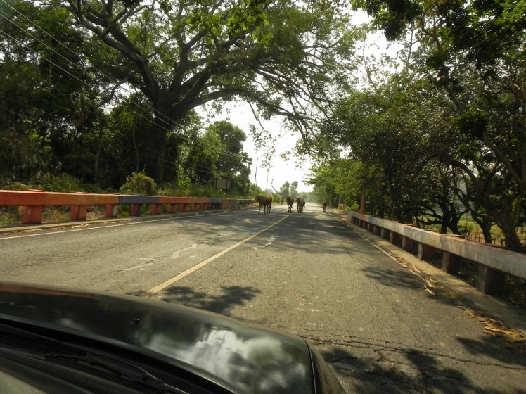 Transfer para El Tunco