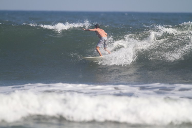 Tiburón em Las Flores