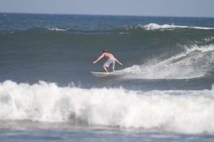 Tiburón em Las Flores