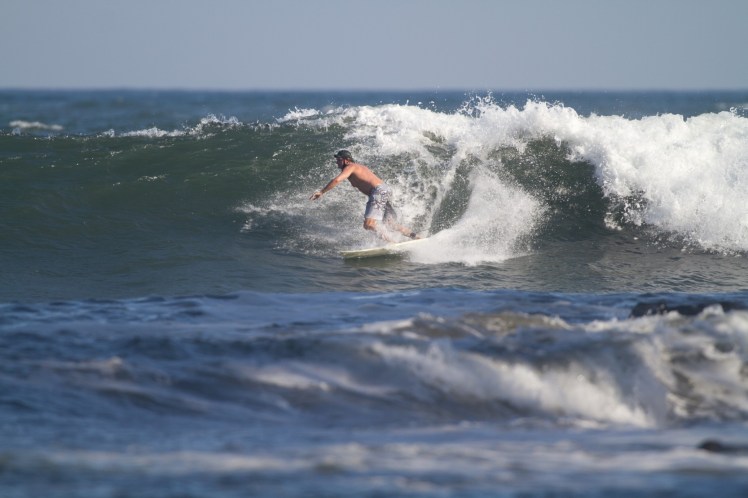 Tiburón em Las Flores