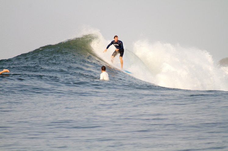 Tiburón em Punta Mango