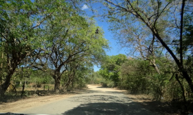 Estradas na região de Tola