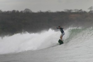 Tiburón em Lances Left