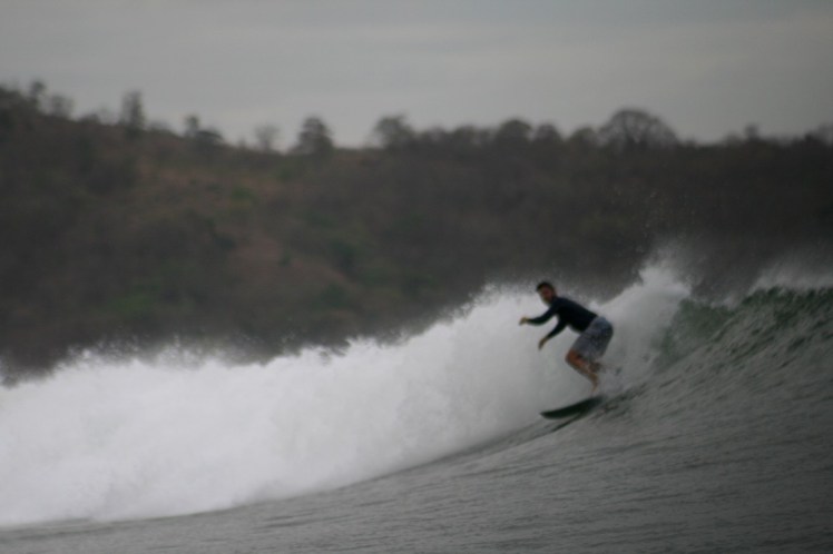 Tiburón em Lances Left