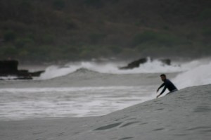 Tiburón em Lances Left