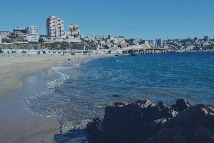 Viña Del Mar