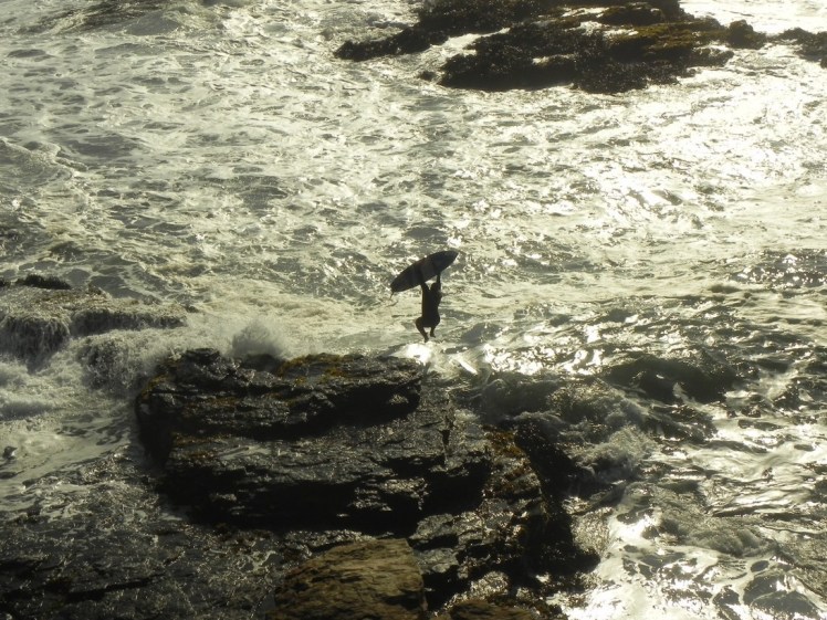 Punta de Lobos - Pichilemu
