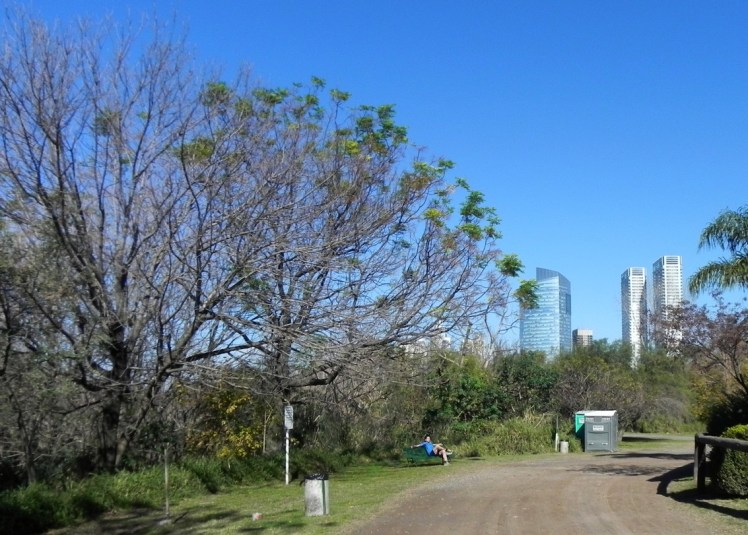 Reserva Ecologica Costanera Sur