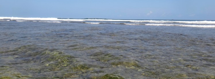 Reef de Uluwatu