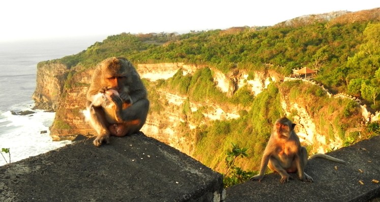 O sacana só devolveu o óculos após ganhar um "presentinho" ...