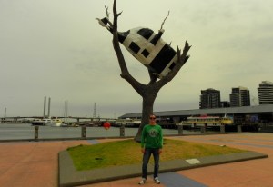 Loucuramas de Melbourne