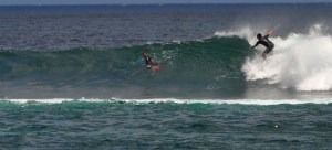 Tiburon em Punta Carola