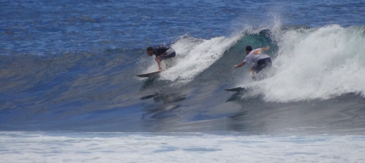 Tiburón em La Loberia