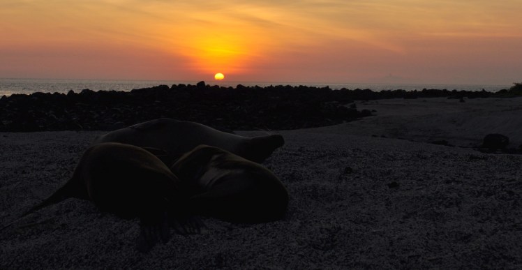 Pôr-do-sol na Loberia