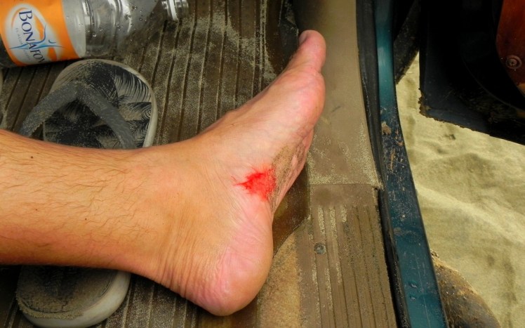 Tatoo em Punta Conejo