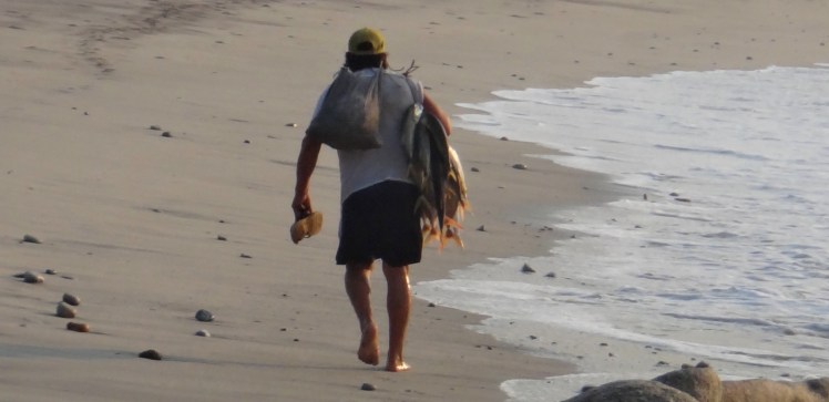 Penca de peixes - Barra De la Cruz