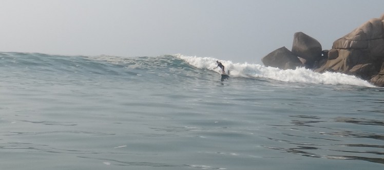 Tiburón em Barra De la Cruz