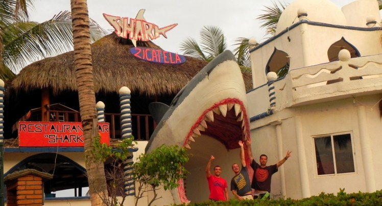 Shark attack em Zicatela