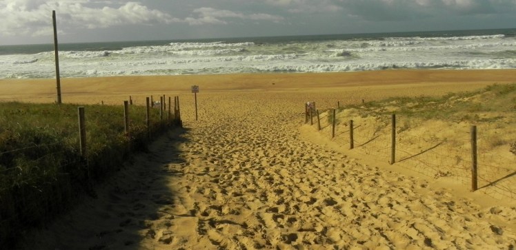 Hossegor - La Gravière