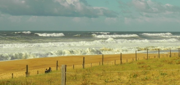 Hossegor - La Gravière