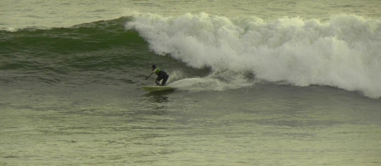 Tiburón em Punta Rocas