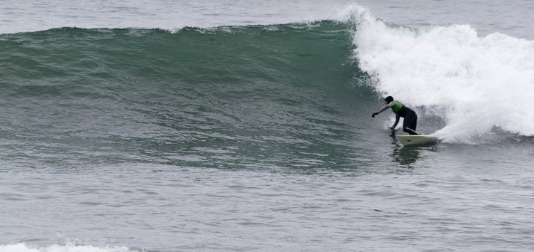 Tiburón em Punta Rocas