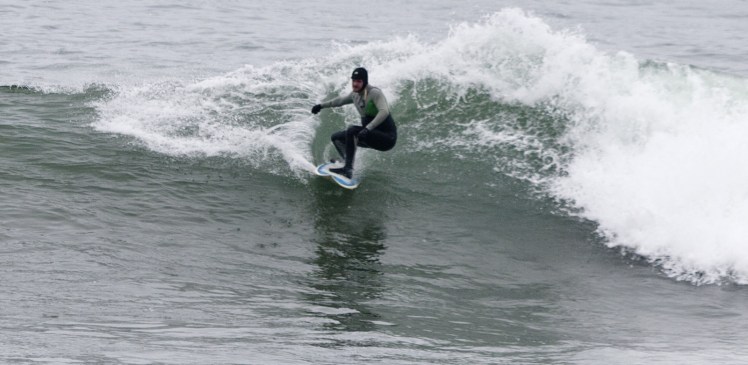 Tiburón em Punta Rocas