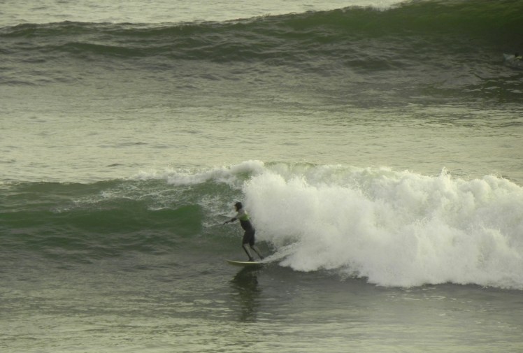 Tiburón em Punta Rocas