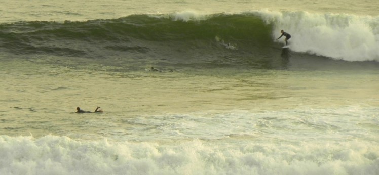 Gariba em Punta Rocas