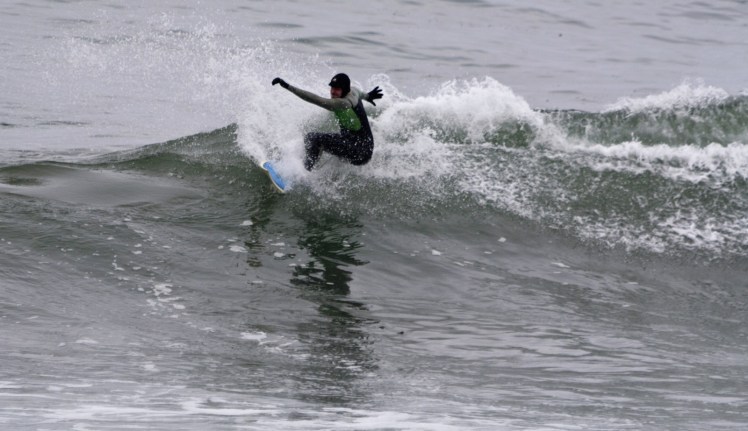 Tiburón em Punta Rocas