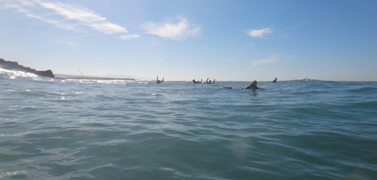 Gajaiada em São Sabastião