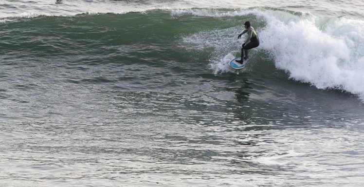 Tiburón em Punta Rocas