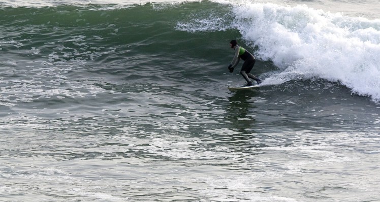 Tiburón em Punta Rocas